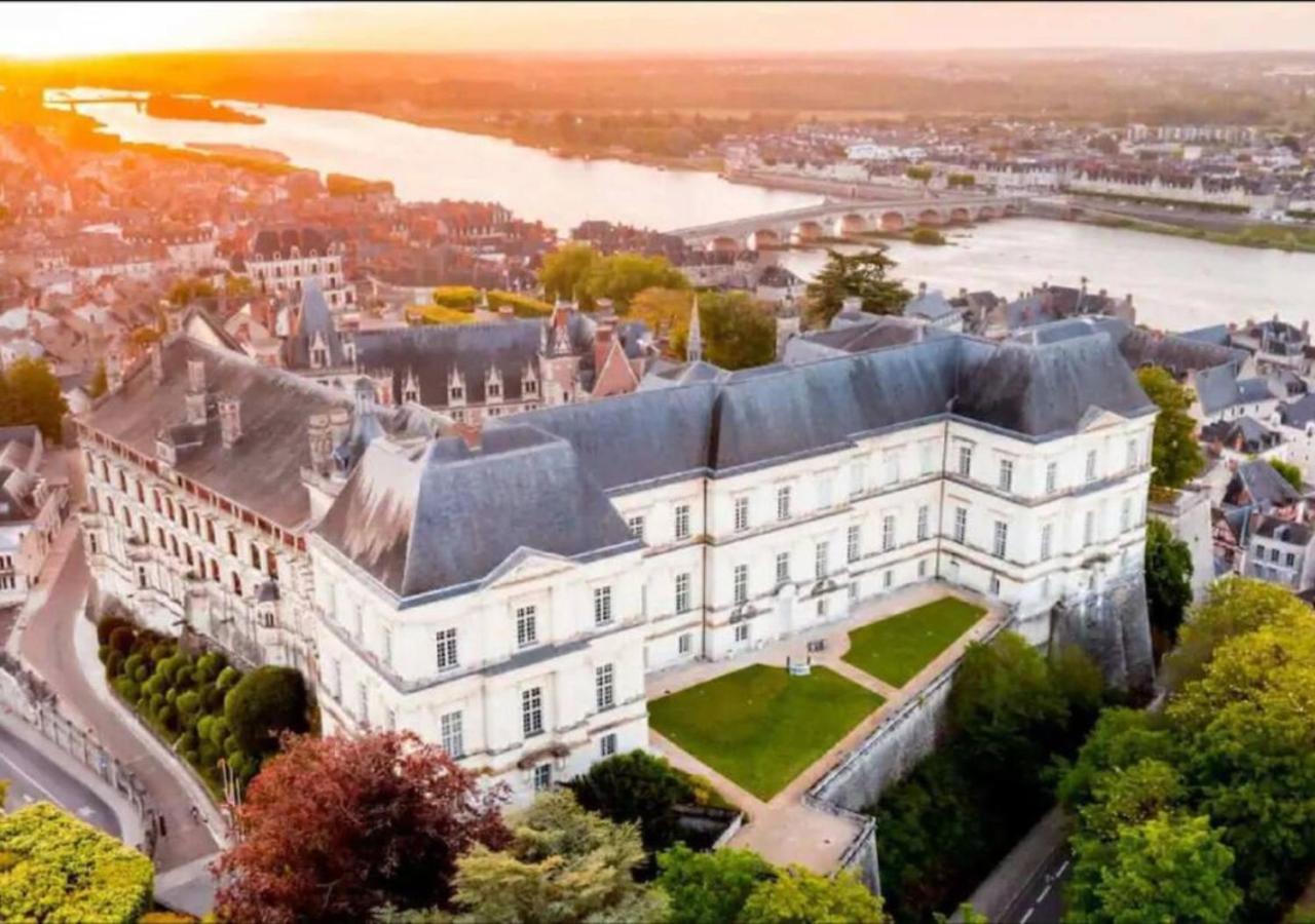 Confort En Centre-ville, Vue Sur La Loire Apartment *