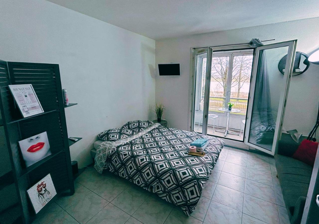 Confort En Centre-ville, Vue Sur La Loire